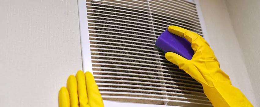 Vent Cleaning Company in Lutz, FL