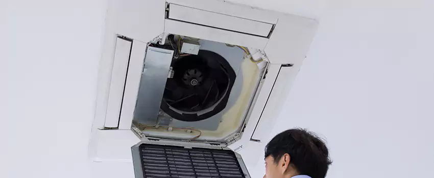 Benefits of Professional Air Duct Cleaning in Lutz, Florida