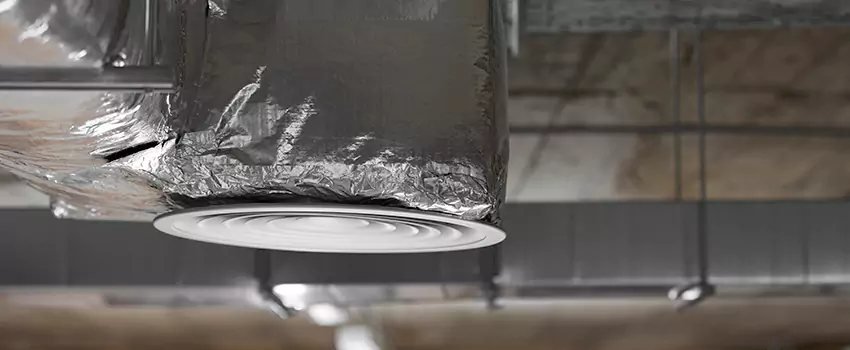 Signs of Dust Accumulation in Vents in Lutz, FL