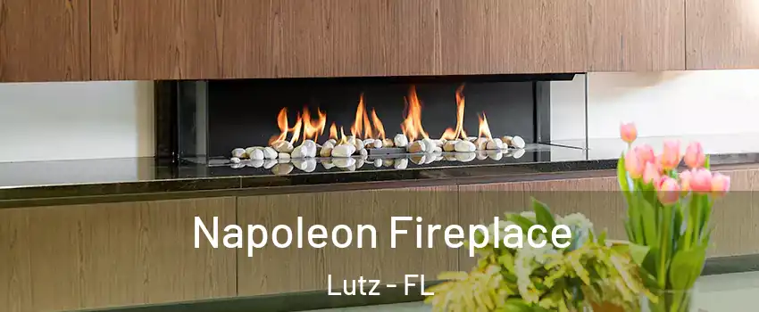  Napoleon Fireplace Lutz - FL