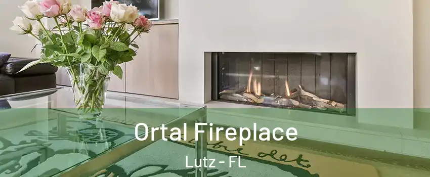  Ortal Fireplace Lutz - FL