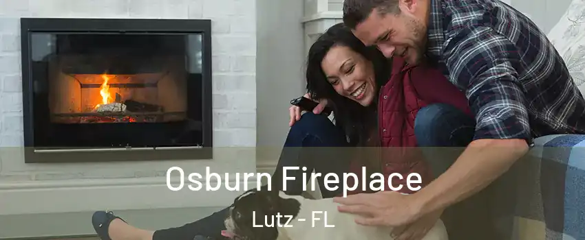  Osburn Fireplace Lutz - FL