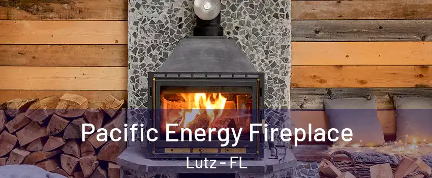  Pacific Energy Fireplace Lutz - FL