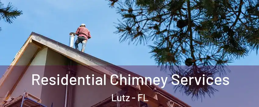  Residential Chimney Services Lutz - FL