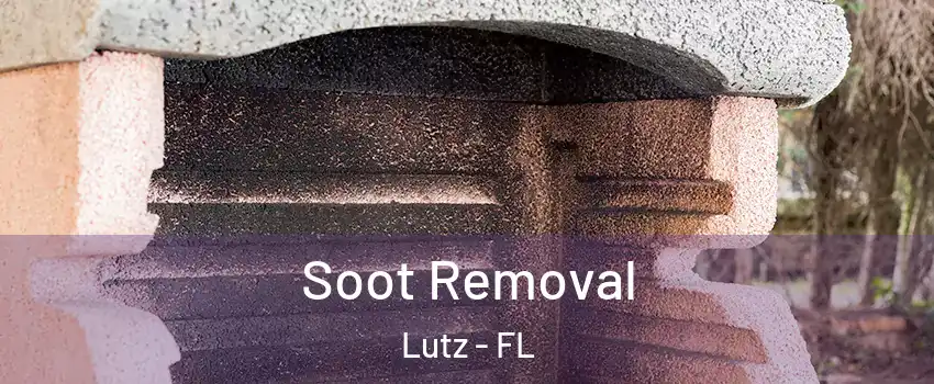  Soot Removal Lutz - FL