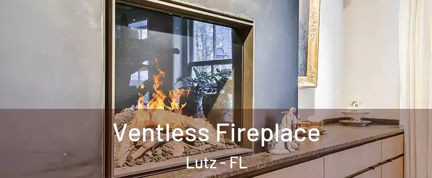  Ventless Fireplace Lutz - FL