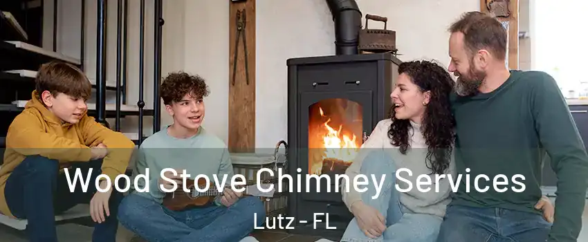  Wood Stove Chimney Services Lutz - FL
