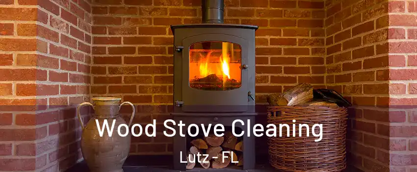  Wood Stove Cleaning Lutz - FL